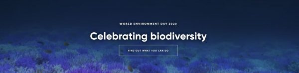 Celebrating Biodiversity on World Environment Day