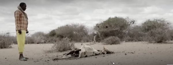 Combatting Desertification